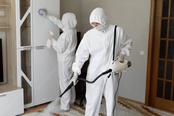 Best Mold Testing and Inspection Services in Marion, VA